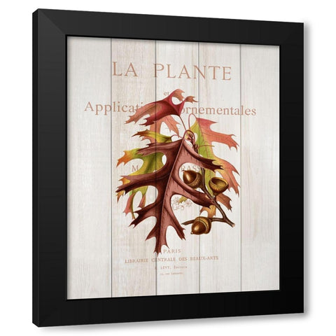 Fall Botanical 2 Black Modern Wood Framed Art Print by Kimberly, Allen