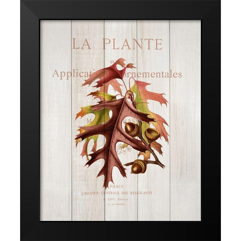 Fall Botanical 2 Black Modern Wood Framed Art Print by Kimberly, Allen