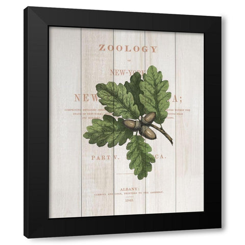 Fall Botanical 3 Black Modern Wood Framed Art Print by Kimberly, Allen