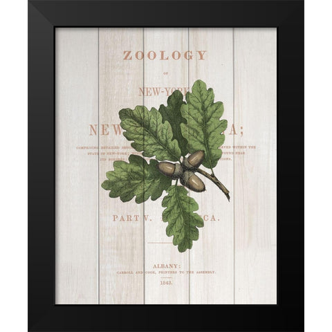 Fall Botanical 3 Black Modern Wood Framed Art Print by Kimberly, Allen