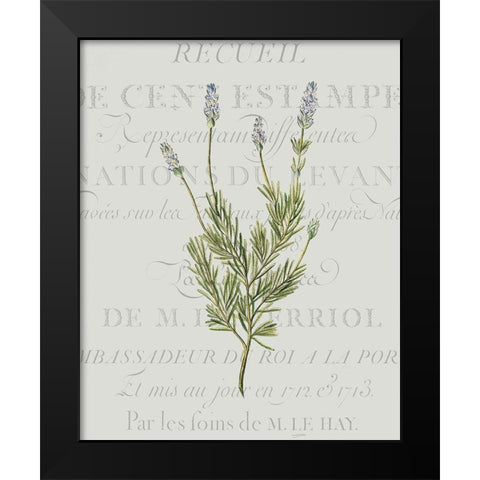 Fresh Herbs 1 Black Modern Wood Framed Art Print by Kimberly, Allen