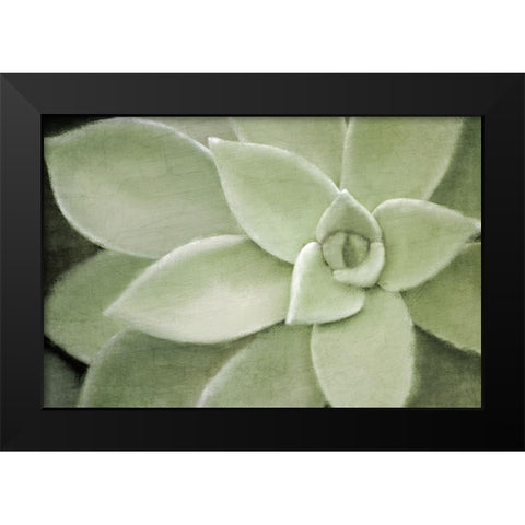 Soft Agave Black Modern Wood Framed Art Print by Kimberly, Allen