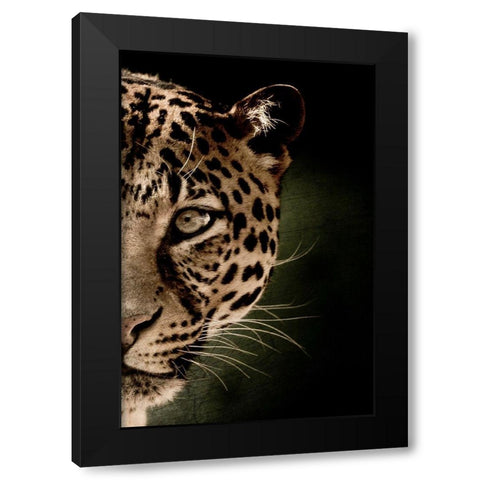 Leo B Black Modern Wood Framed Art Print with Double Matting by Kimberly, Allen