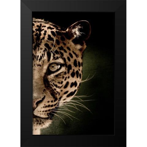 Leo B Black Modern Wood Framed Art Print by Kimberly, Allen