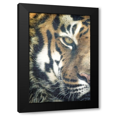 Focus A Black Modern Wood Framed Art Print with Double Matting by Kimberly, Allen