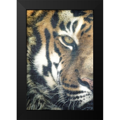 Focus A Black Modern Wood Framed Art Print by Kimberly, Allen