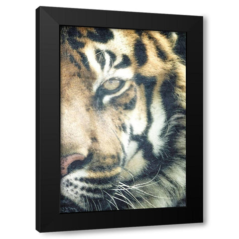 Focus B Black Modern Wood Framed Art Print with Double Matting by Kimberly, Allen