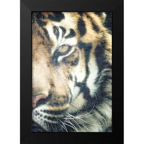 Focus B Black Modern Wood Framed Art Print by Kimberly, Allen