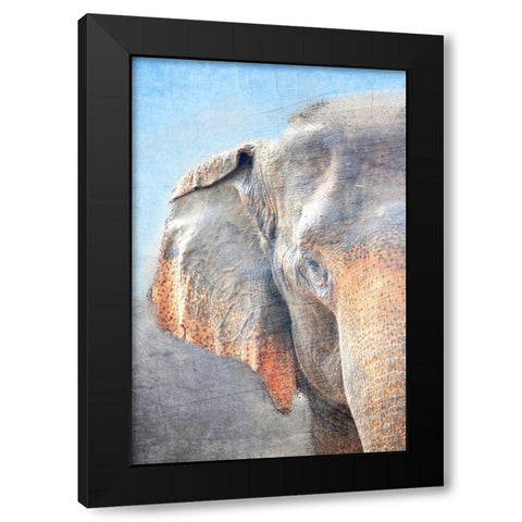 African Elephant A Black Modern Wood Framed Art Print by Kimberly, Allen