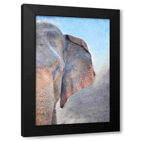 African Elephant B Black Modern Wood Framed Art Print by Kimberly, Allen