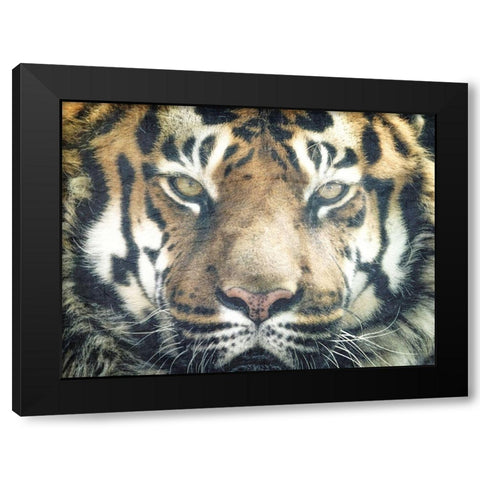 Focus Black Modern Wood Framed Art Print by Kimberly, Allen