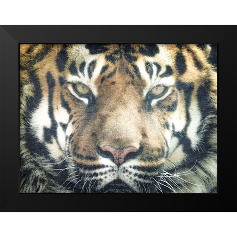 Focus Black Modern Wood Framed Art Print by Kimberly, Allen
