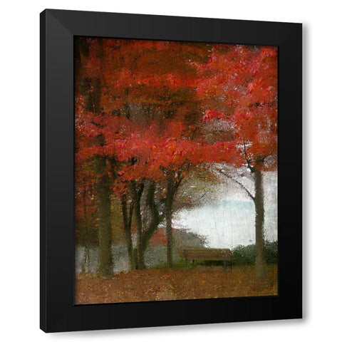 Maple Tree Walk Black Modern Wood Framed Art Print by Kimberly, Allen