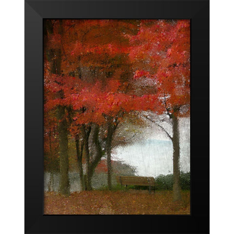 Maple Tree Walk Black Modern Wood Framed Art Print by Kimberly, Allen