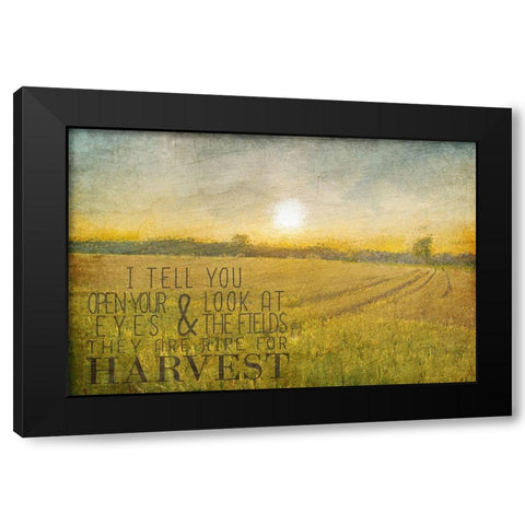 Already to Harvest Black Modern Wood Framed Art Print with Double Matting by Kimberly, Allen