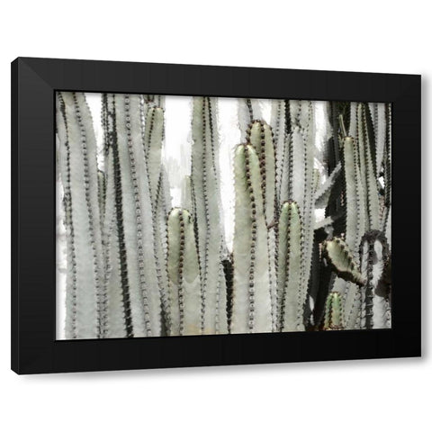 Desert Day Black Modern Wood Framed Art Print with Double Matting by Allen, Kimberly