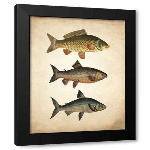 Fish B Black Modern Wood Framed Art Print with Double Matting by Kimberly, Allen