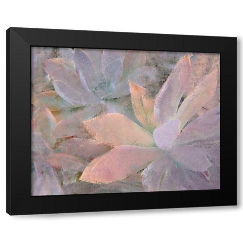 Succulents Black Modern Wood Framed Art Print by Allen, Kimberly