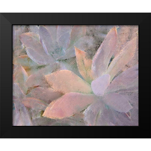 Succulents Black Modern Wood Framed Art Print by Allen, Kimberly