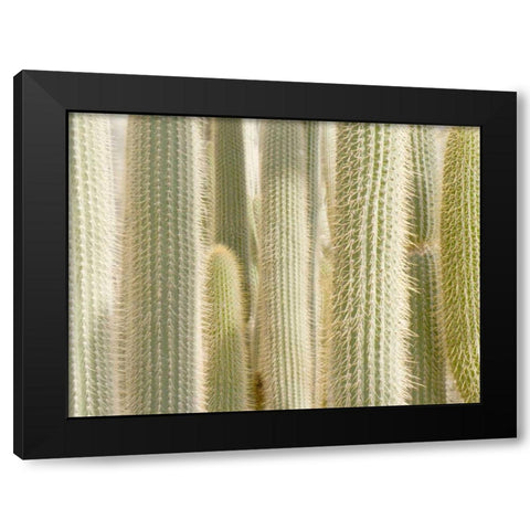 Towards the Sky Black Modern Wood Framed Art Print with Double Matting by Allen, Kimberly