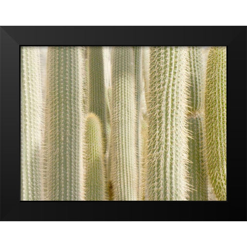 Towards the Sky Black Modern Wood Framed Art Print by Allen, Kimberly