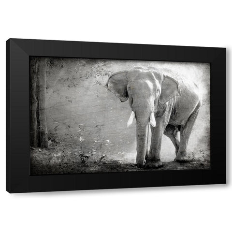 Olde Grey Black Modern Wood Framed Art Print by Kimberly, Allen