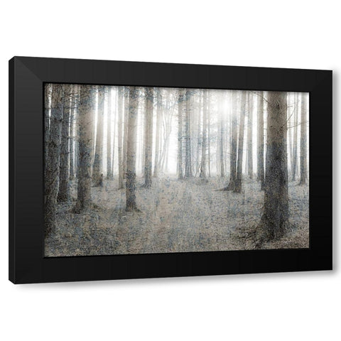 Forest Dream Black Modern Wood Framed Art Print with Double Matting by Kimberly, Allen