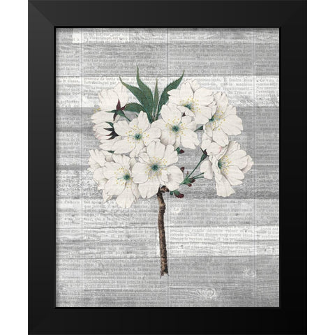 Cherry Blossom 2 Black Modern Wood Framed Art Print by Kimberly, Allen