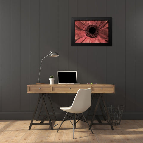 Bloom Center Black Modern Wood Framed Art Print by Kimberly, Allen
