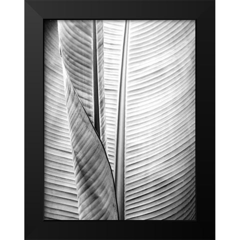Metal BW Plant 1 Black Modern Wood Framed Art Print by Allen, Kimberly