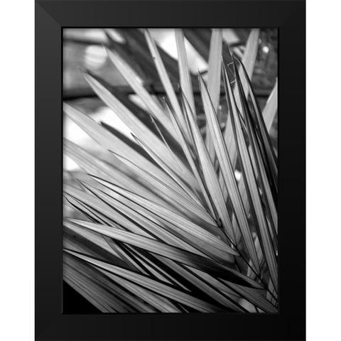 Metal BW Plant 2 Black Modern Wood Framed Art Print by Allen, Kimberly