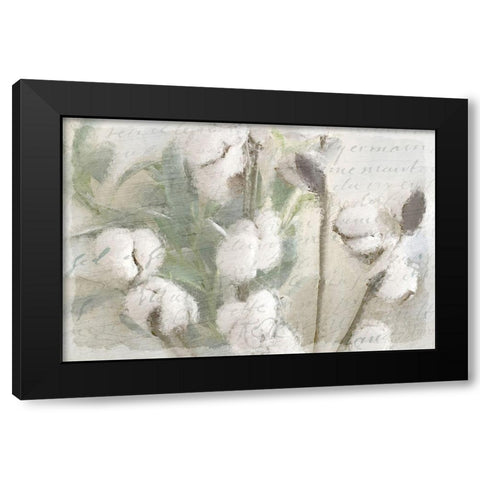 Cotton A Black Modern Wood Framed Art Print with Double Matting by Kimberly, Allen