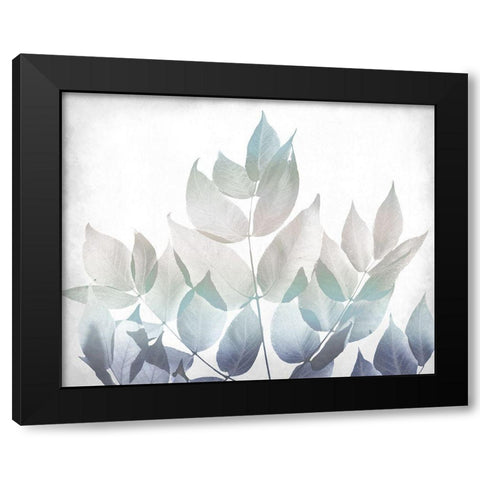 Antiqued Leaves 1 v2 Black Modern Wood Framed Art Print with Double Matting by Kimberly, Allen
