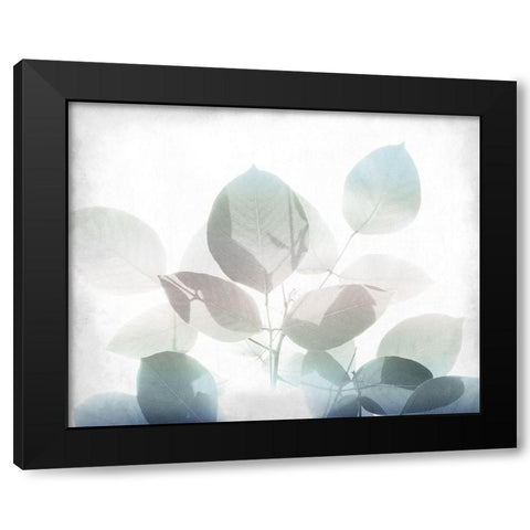 Antiqued Leaves 2 v2 Black Modern Wood Framed Art Print by Kimberly, Allen