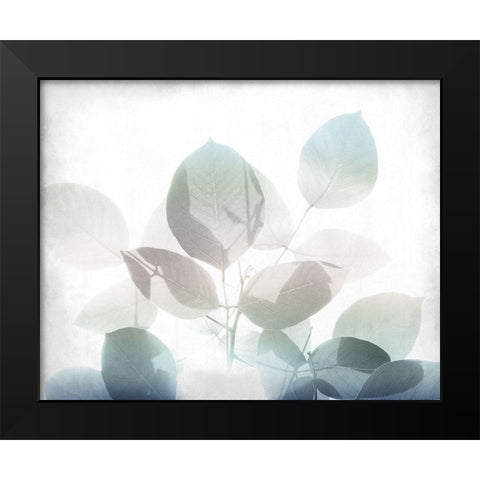 Antiqued Leaves 2 v2 Black Modern Wood Framed Art Print by Kimberly, Allen
