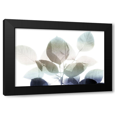 Midnight Leaves 1 v2 Black Modern Wood Framed Art Print by Kimberly, Allen