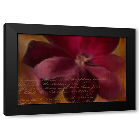 Blooming Spice Black Modern Wood Framed Art Print by Kimberly, Allen
