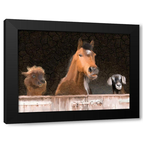 Smiles from the Barn Black Modern Wood Framed Art Print with Double Matting by Kimberly, Allen