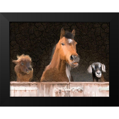 Smiles from the Barn Black Modern Wood Framed Art Print by Kimberly, Allen