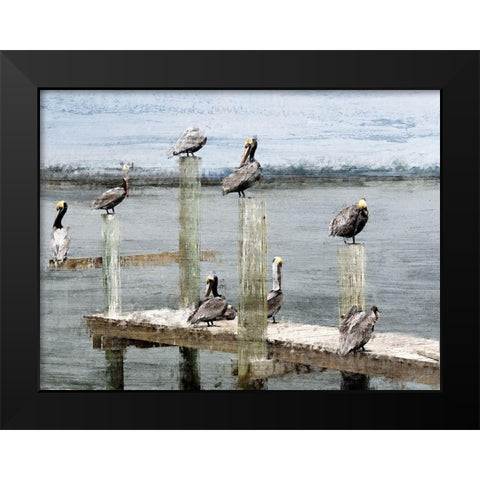 Perched Black Modern Wood Framed Art Print by Kimberly, Allen
