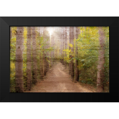 Sunlight Path Black Modern Wood Framed Art Print by Kimberly, Allen