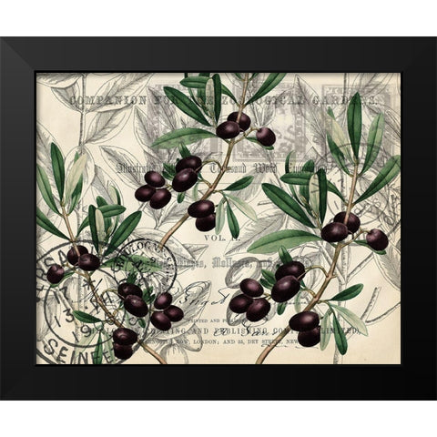 Olive Branch 1 Black Modern Wood Framed Art Print by Kimberly, Allen