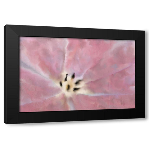 Tulip Center Black Modern Wood Framed Art Print with Double Matting by Kimberly, Allen