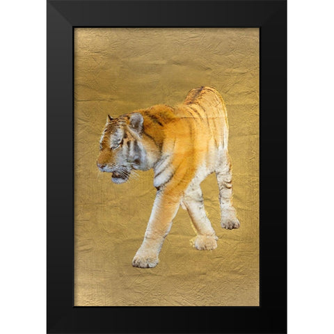 Tiger Gold v2 Black Modern Wood Framed Art Print by Kimberly, Allen