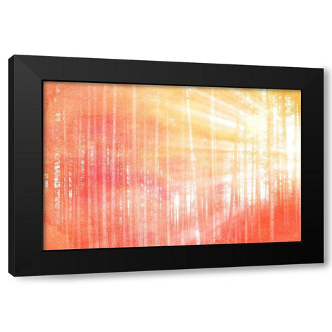 Forest Brights Black Modern Wood Framed Art Print by Kimberly, Allen