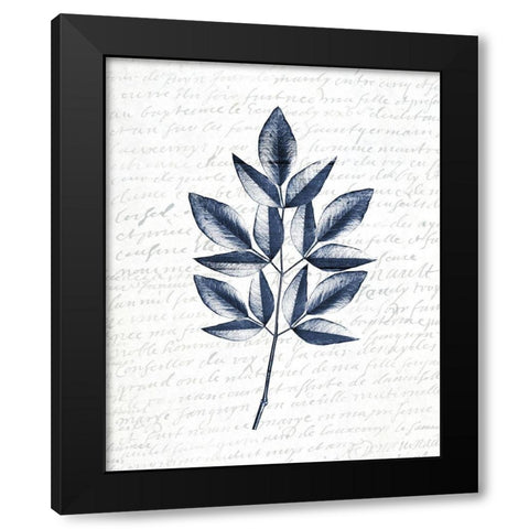 Pressed Leaves 3 Black Modern Wood Framed Art Print with Double Matting by Kimberly, Allen