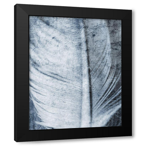 Up Close Feather 1 Black Modern Wood Framed Art Print with Double Matting by Kimberly, Allen