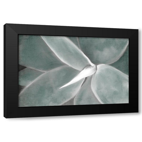 Succulent Center Black Modern Wood Framed Art Print by Kimberly, Allen