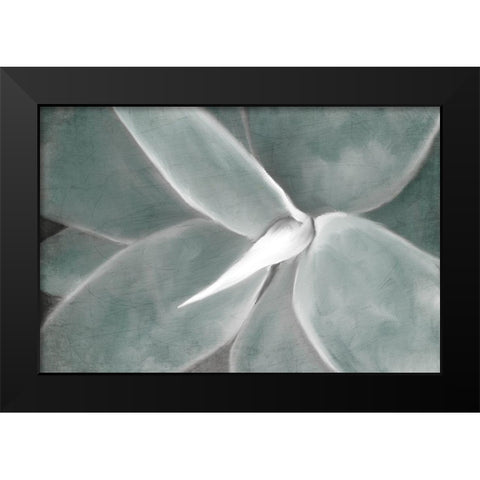 Succulent Center Black Modern Wood Framed Art Print by Kimberly, Allen