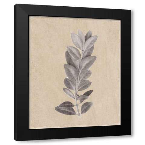 Blue Leaf Print 2 Black Modern Wood Framed Art Print with Double Matting by Kimberly, Allen